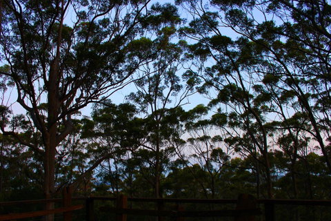 Ark Of Denmark - Sunshine Coast Tourism 27
