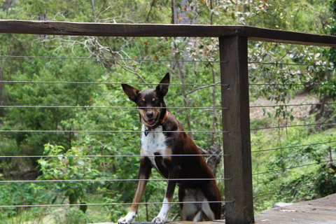 Ark Of Denmark - Sunshine Coast Tourism 10