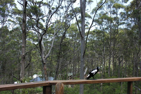 Ark Of Denmark - Sunshine Coast Tourism 11