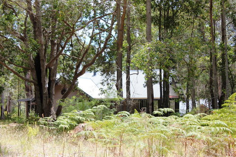 Scotsdale Valley Studios - Sunshine Coast Tourism 12