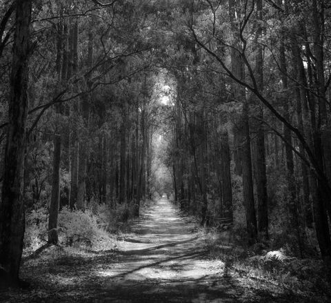 Indoyo Retreat - Sunshine Coast Tourism 40