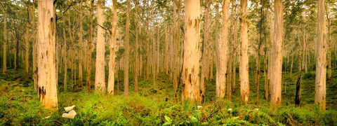 Indoyo Retreat - Sunshine Coast Tourism 34