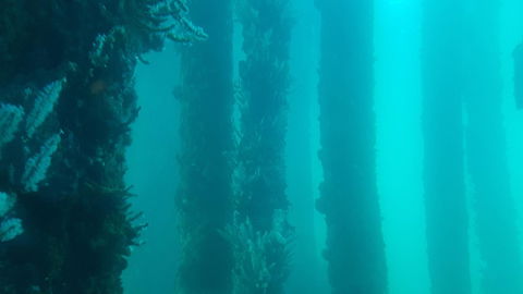 Indoyo Retreat - Sunshine Coast Tourism 28