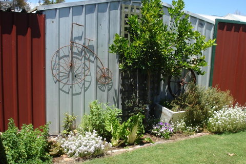 Bluebird Cottage - Sunshine Coast Tourism 26
