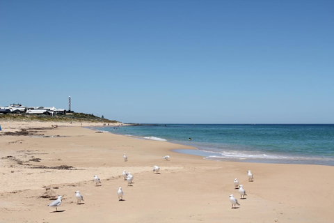 Bluebird Cottage - Sunshine Coast Tourism 40