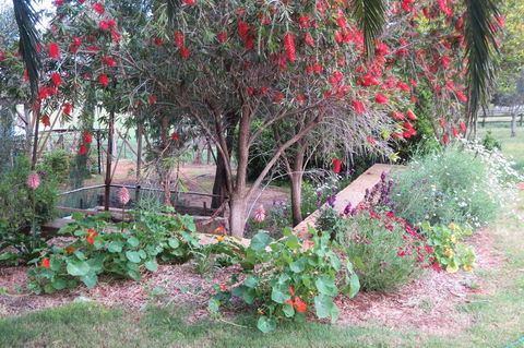 Bentwood Olive Grove Accommodation - Sunshine Coast Tourism 21