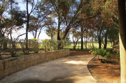 Bentwood Olive Grove Accommodation - Sunshine Coast Tourism 2