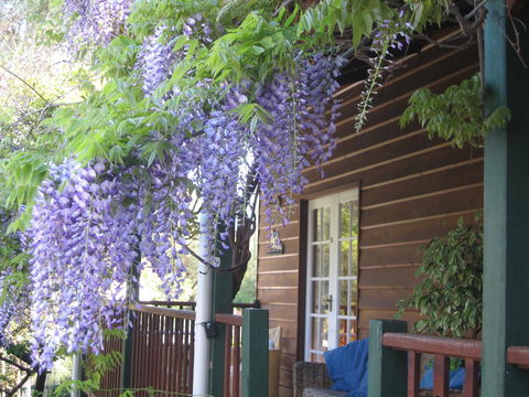 RoseMoore Bed & Breakfast - Sunshine Coast Tourism 11