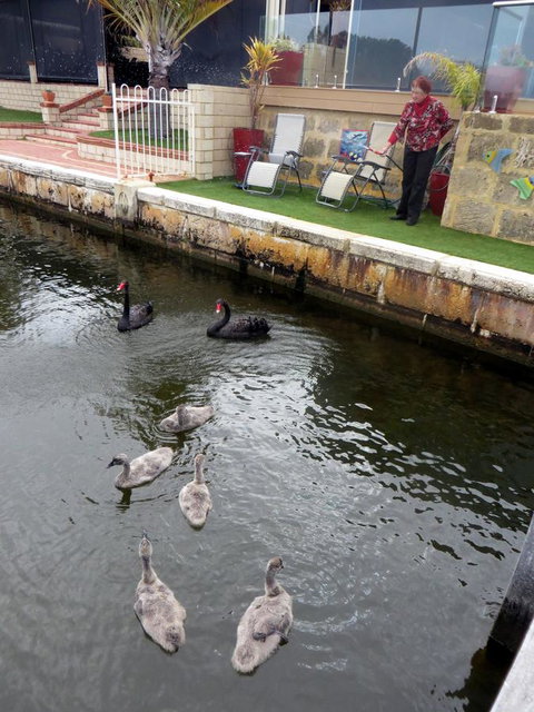 Yunderup Kannie Kottage - Holiday Sunshine Coast 14