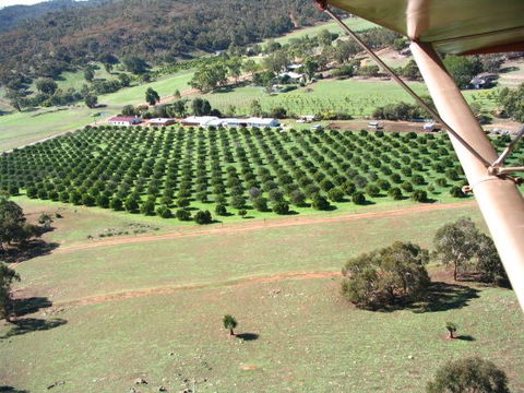 Bindoon's Windmill Farm - Sunshine Coast Tourism 3