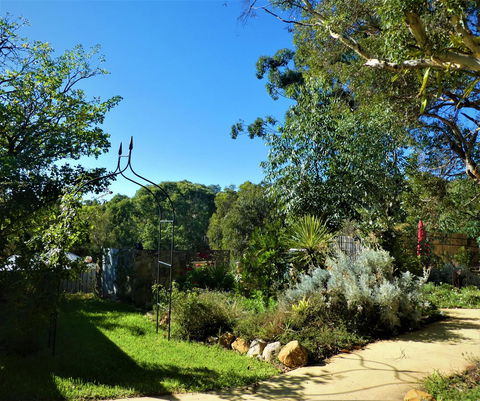 Treetops Cottage - Sunshine Coast Tourism 14