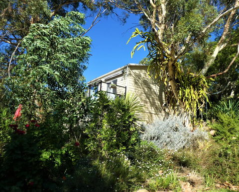 Treetops Cottage - Sunshine Coast Tourism 13
