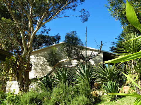 Treetops Cottage - Sunshine Coast Tourism 4