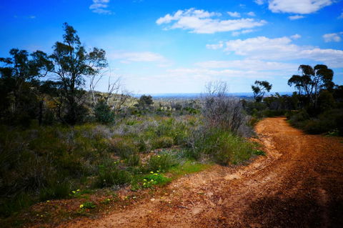 Treetops Cottage - Sunshine Coast Tourism 35
