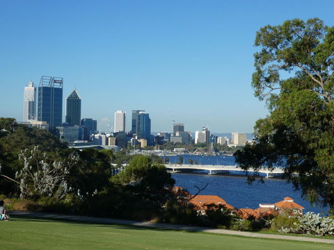 Treetops Cottage - Sunshine Coast Tourism 37