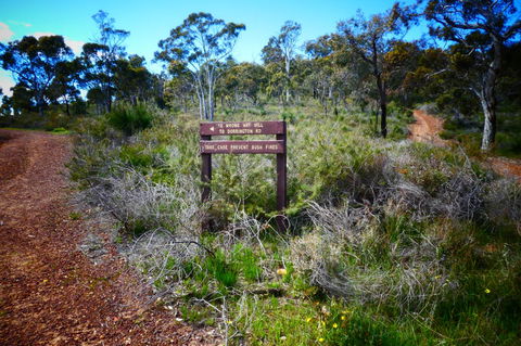 Treetops Cottage - Sunshine Coast Tourism 34