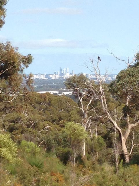 Treetops Cottage - Sunshine Coast Tourism 38