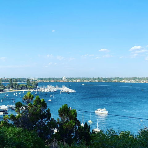 SEA BREEZE â€“ Between Cottesloe Beach & Swan River - Sunshine Coast Tourism 23