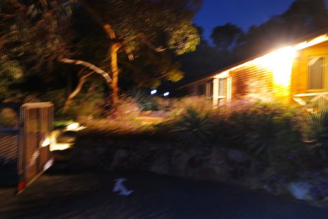 Eleebana Guest House - Sunshine Coast Tourism 34