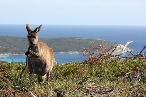 Bremer Bay B&B - Holiday Sunshine Coast 30