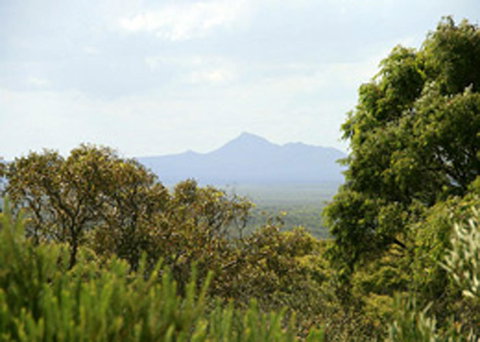 Bremer Bay B&B - Holiday Sunshine Coast 32