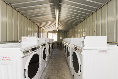 Billabong Backpackers Resort - Sunshine Coast Tourism 13