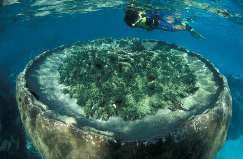Sal Salis Ningaloo Reef - Sunshine Coast Tourism 8