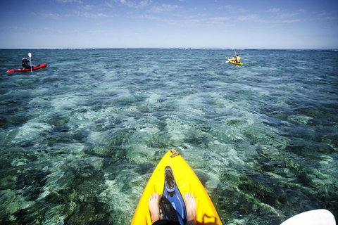 Sal Salis Ningaloo Reef - Sunshine Coast Tourism 15