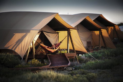 Sal Salis Ningaloo Reef - Sunshine Coast Tourism 23