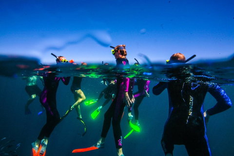 Sal Salis Ningaloo Reef - Sunshine Coast Tourism 26