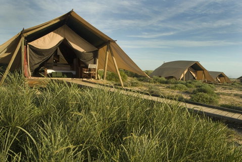 Sal Salis Ningaloo Reef - Sunshine Coast Tourism 25