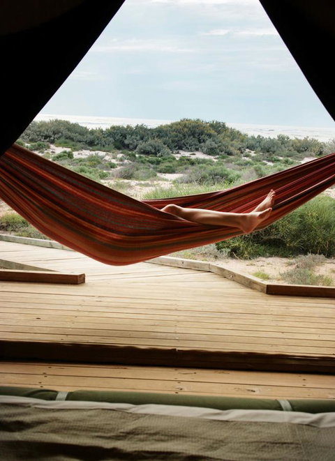 Sal Salis Ningaloo Reef - Sunshine Coast Tourism 35