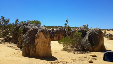 Jurien Beachfront Holiday Units - Sunshine Coast Tourism 29
