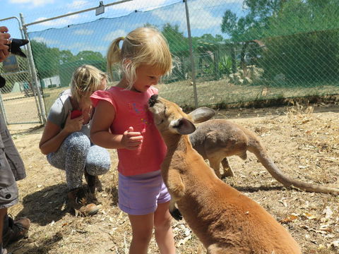 Jurien Beachfront Holiday Units - Sunshine Coast Tourism 36
