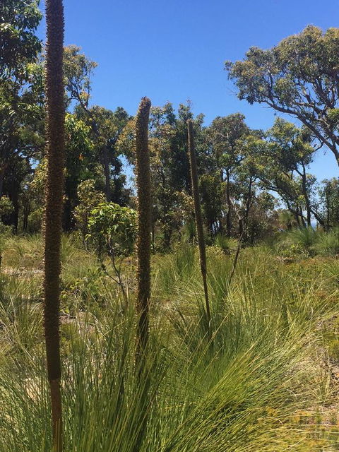 Eagle Bay House - Holiday Sunshine Coast 15