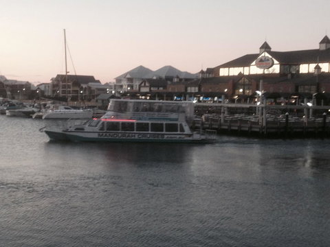 Mandurah Ocean Marina Chalets - Sunshine Coast Tourism 44