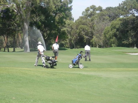 Como Executive Apartment - Sunshine Coast Tourism 29