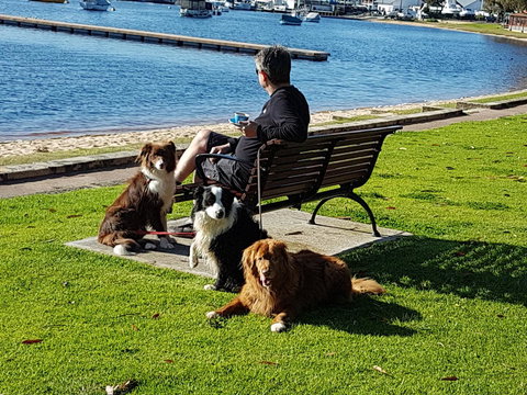 Como Executive Apartment - Sunshine Coast Tourism 23