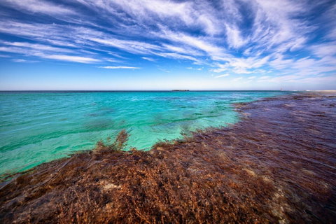 Discovery Resorts - Rottnest Island - Sunshine Coast Tourism 24