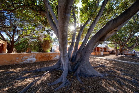 Discovery Resorts - Rottnest Island - Sunshine Coast Tourism 23