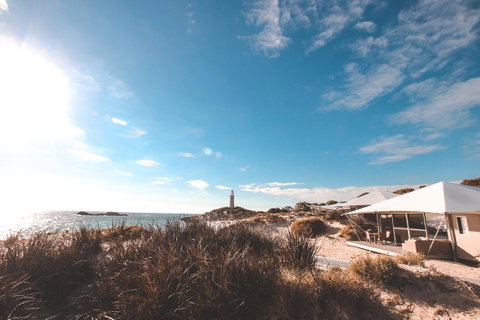 Discovery Resorts - Rottnest Island - Sunshine Coast Tourism 10