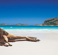 The Shiralee - Holiday Sunshine Coast