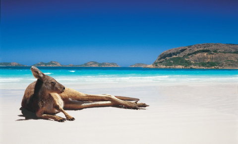 Shiralee Hostel -note - Valid Passport Required To Check In - Holiday Sunshine Coast 0