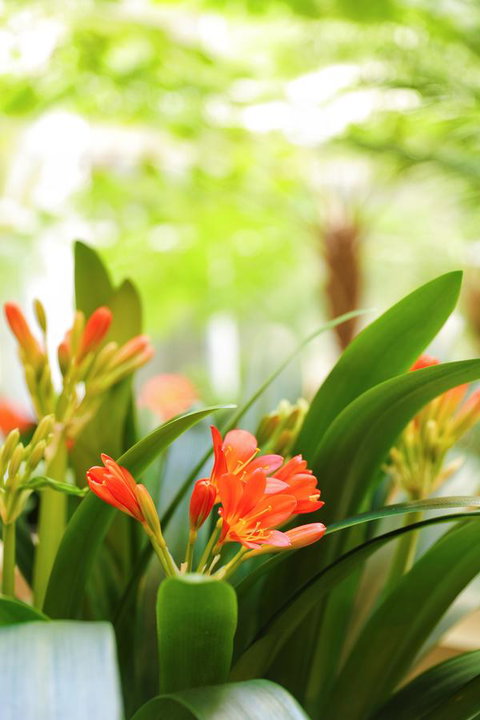 Bunbury Hotel Koombana Bay - Sunshine Coast Tourism 19