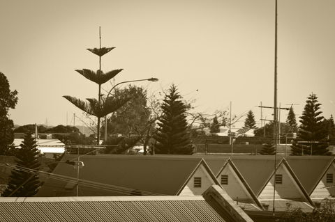 Annie's Victorian Terrace Accommodation Fremantle - Holiday Sunshine Coast 2