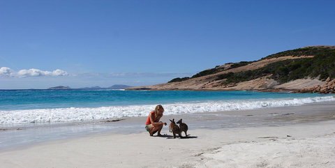 Esperance YHA - Sunshine Coast Tourism 19