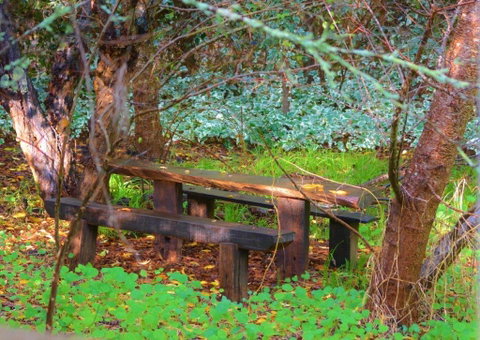 Black Cockatoo Lodge - Sunshine Coast Tourism 44