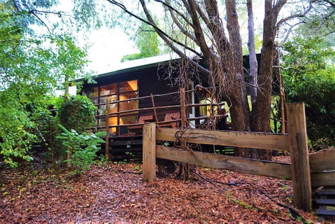 Black Cockatoo Lodge - Sunshine Coast Tourism 4
