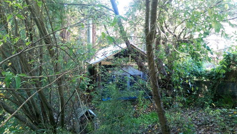 Black Cockatoo Lodge - Sunshine Coast Tourism 22