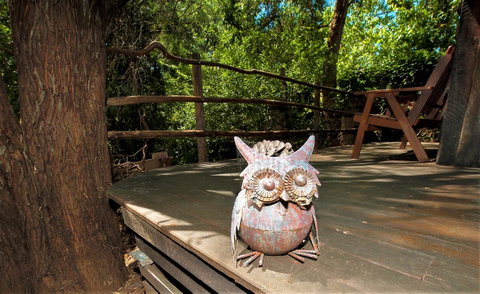 Black Cockatoo Lodge - Sunshine Coast Tourism 8